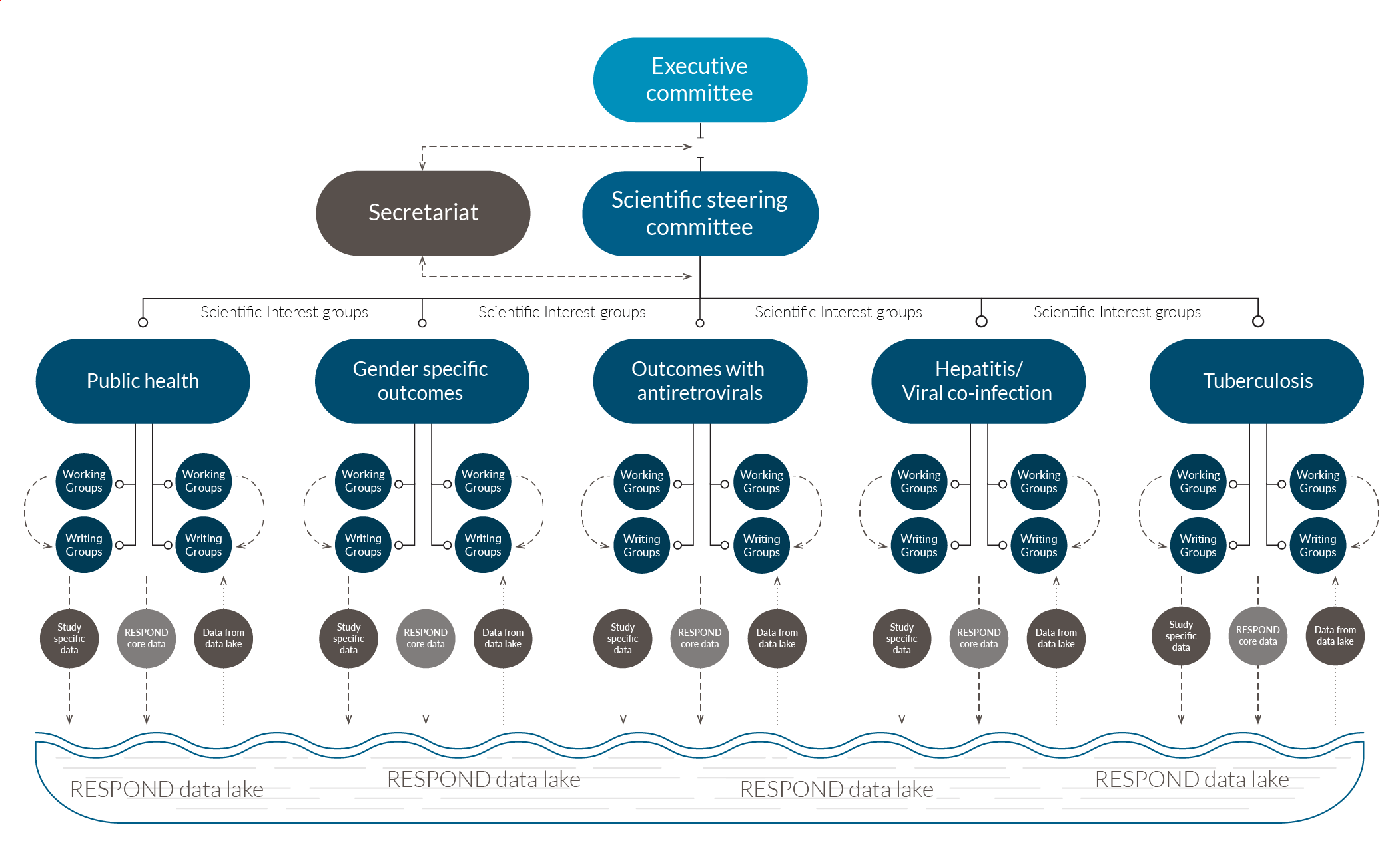RESPOND-structure-2023-aug_1.png